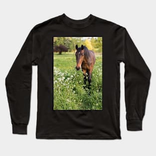 Star's first birthday Long Sleeve T-Shirt